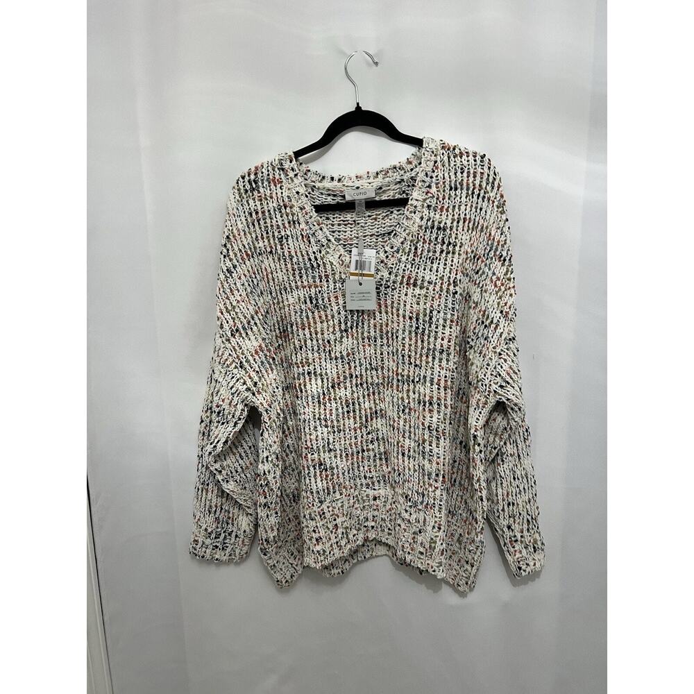 Cupio Women’s Plus 3XL Sweater Multi Color Winter Fall